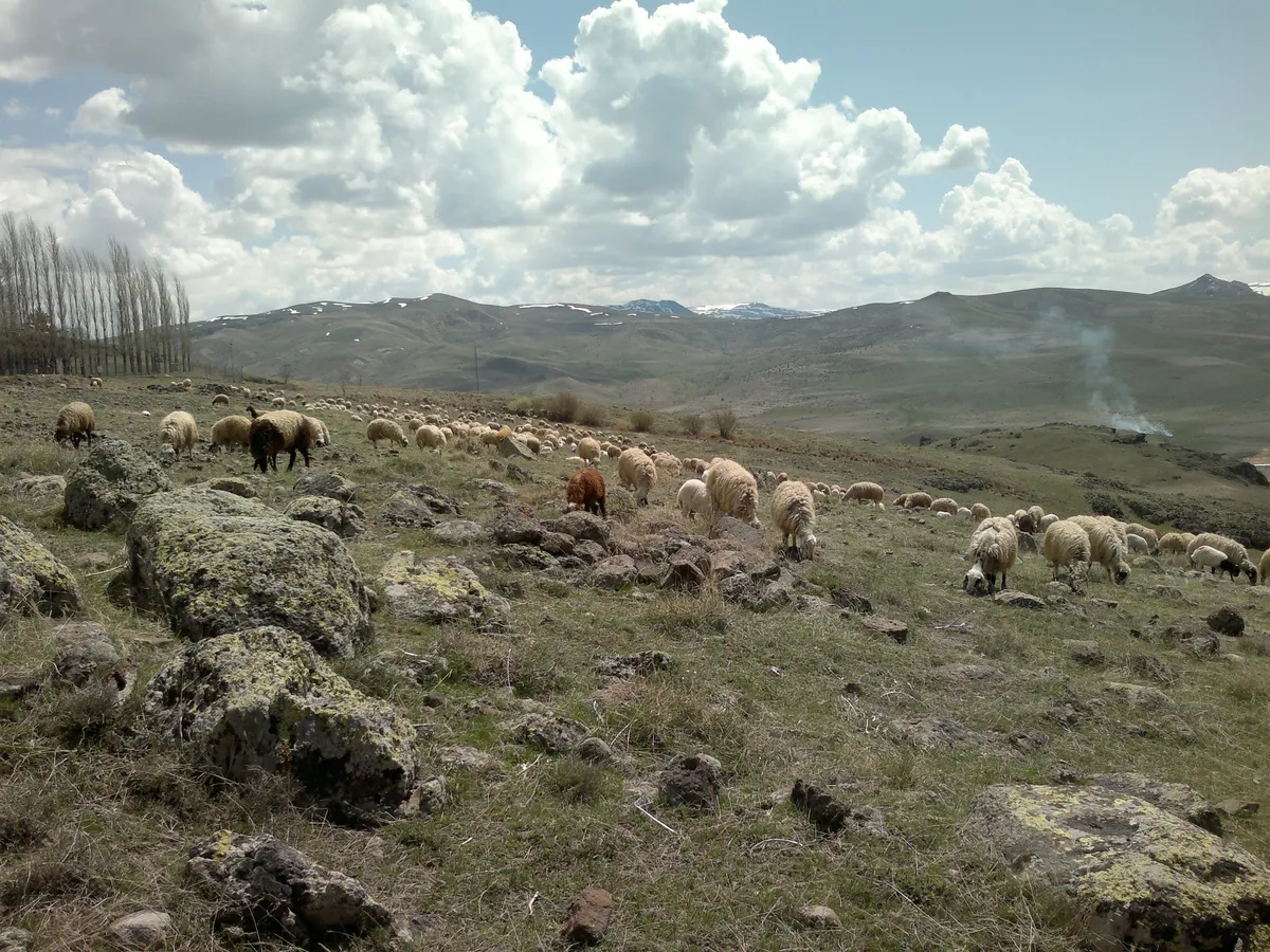 Kastamonu gezi noktası