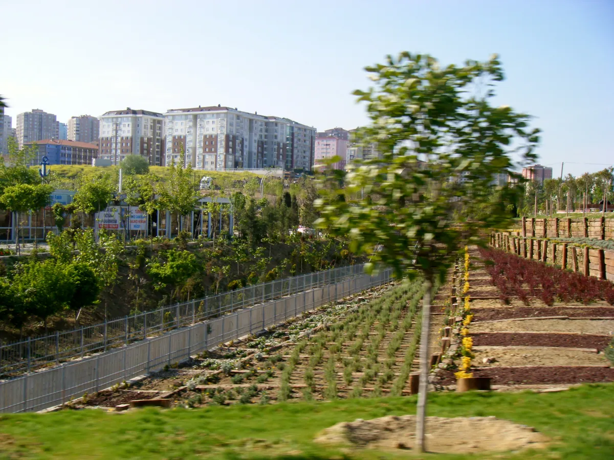 Yeşil Vadi ve Obaköy Doğa Parkı