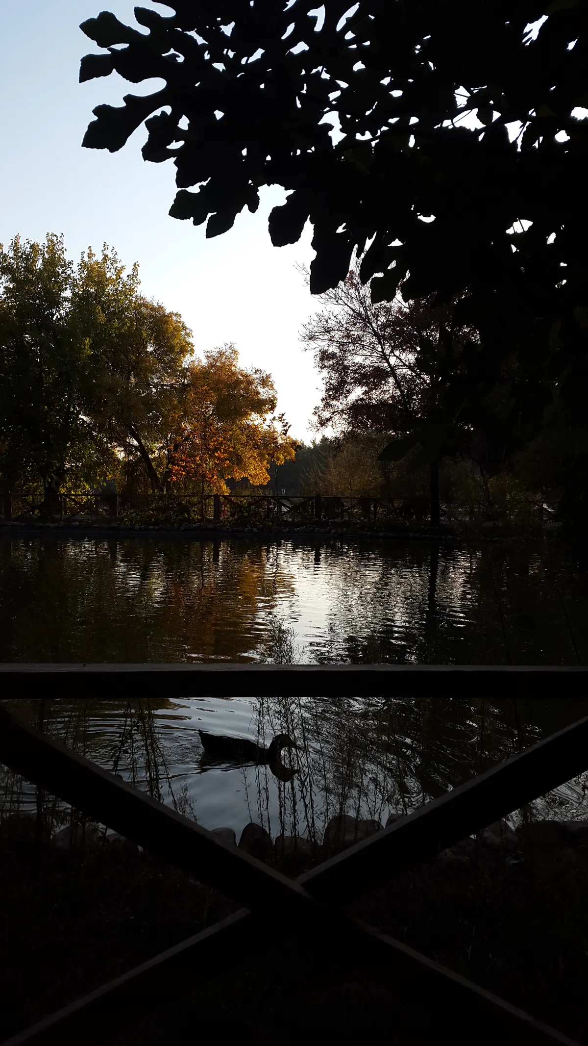 Yeşilgöz Düdeni ve Tabiat Parkı (Tekir)